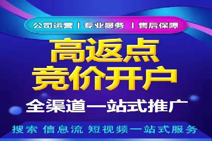 百度竞价广告投放案例：关键词策略与效果对比